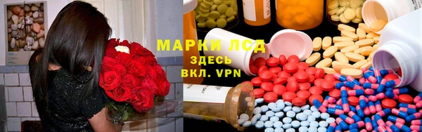 прущий лед Аркадак