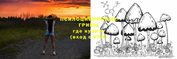 соль курить ск Алексеевка